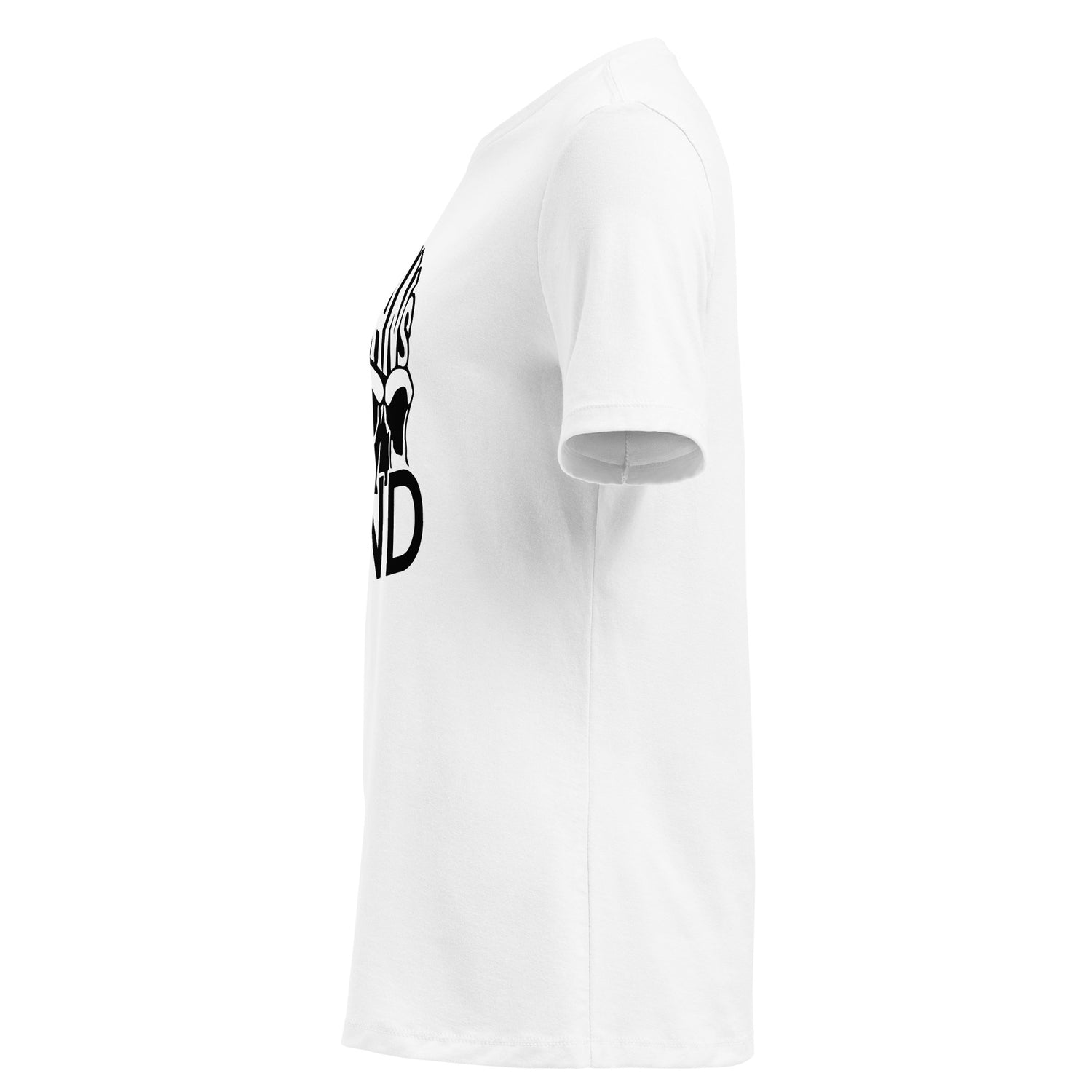 HOOLIGANS MIND standard T